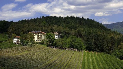 Kreuzstein: bar-caffetteria, b&b e appartamenti vacanze ad Appiano Kreuzstein: bar-caffetteria, b&b e appartamenti vacanze ad Appiano