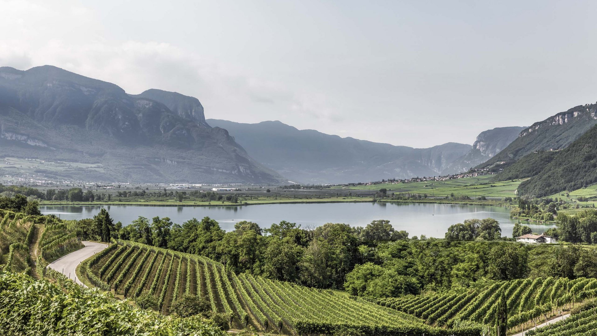 Wir lieben Wein: Zimmer/Ferienwohnung bei St. Michael, Eppan Wir lieben Wein: Zimmer/Ferienwohnung bei St. Michael, Eppan