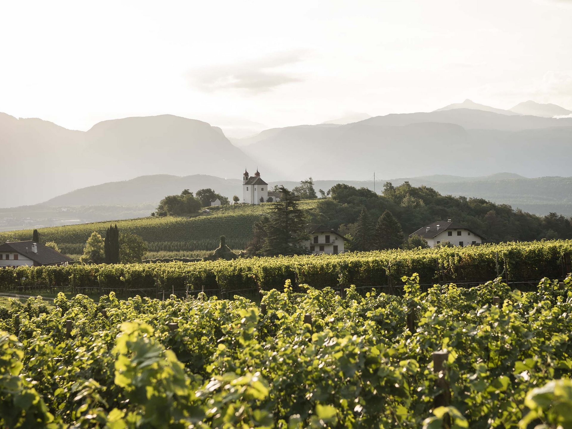 Camere e appartamenti per la vostra vacanza ad Appiano, Alto Adige