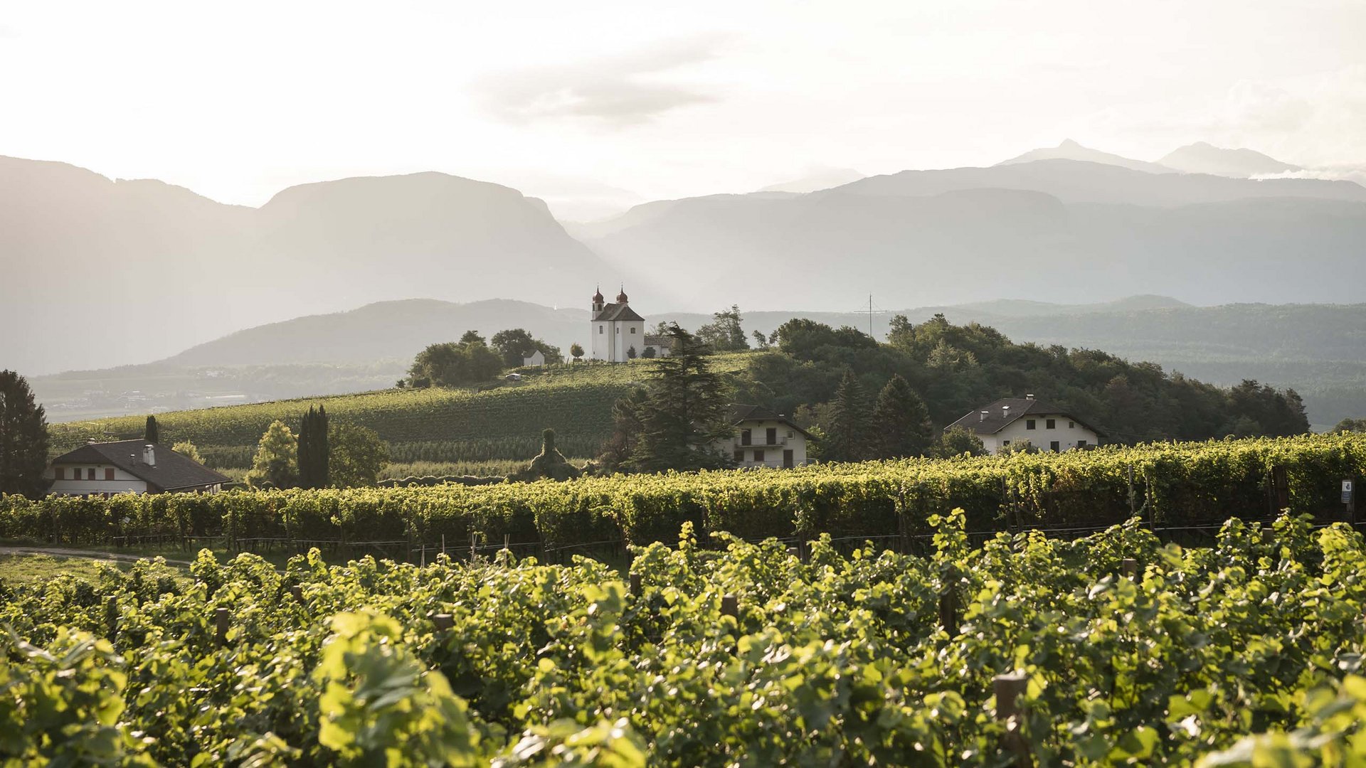 B&B Kreuzstein – Appiano sulla Strada del Vino