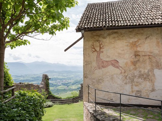 Die schönsten Wanderungen um Ihre Ferienwohnung nahe Girlan Die schönsten Wanderungen um Ihre Ferienwohnung nahe Girlan
