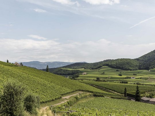 Die schönsten Wanderungen um Ihre Ferienwohnung nahe Girlan Die schönsten Wanderungen um Ihre Ferienwohnung nahe Girlan